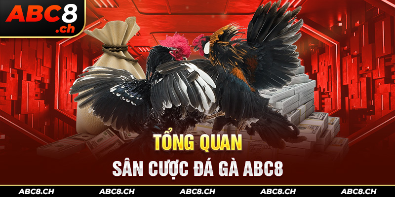 Tổng quan sân cược đá gà ABC8