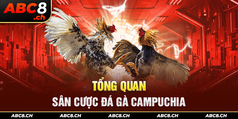 Tổng quan sân cược đá gà Campuchia