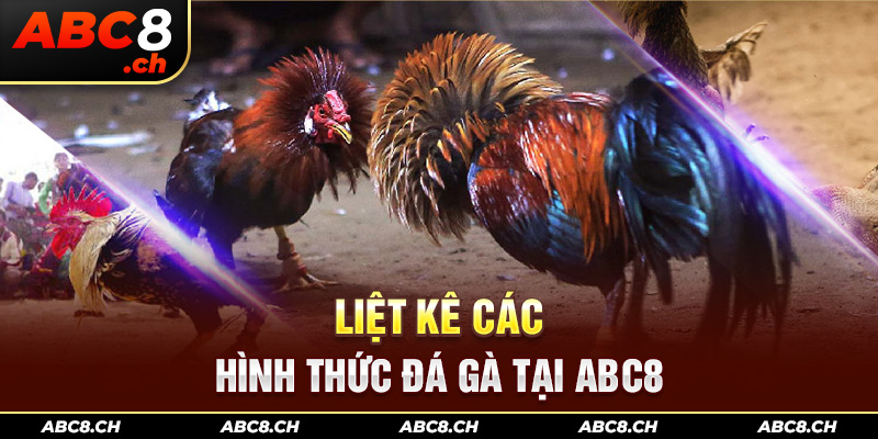 Liệt kê các hình thức đá gà tại ABC8