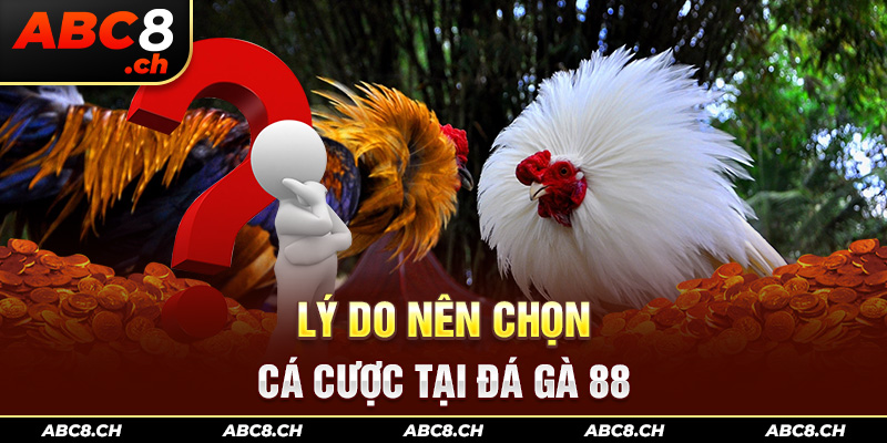 Lý do nên chọn sảnh đá gà 88