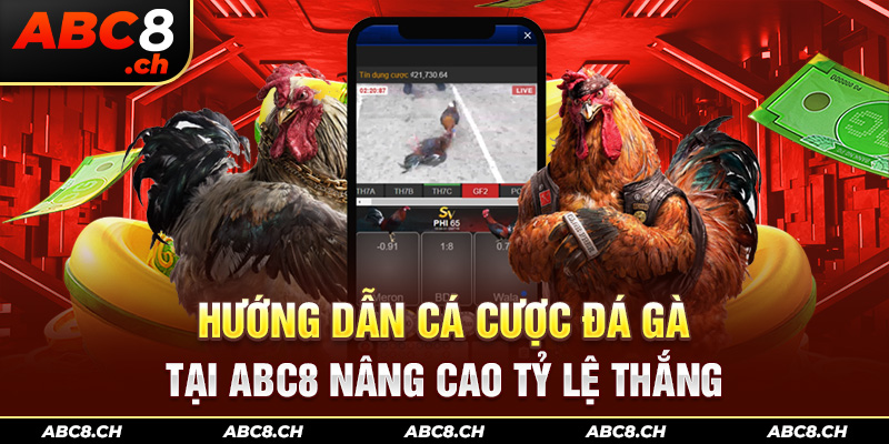 Hướng dẫn cá cược đá gà tại ABC8 nâng cao tỷ lệ thắng